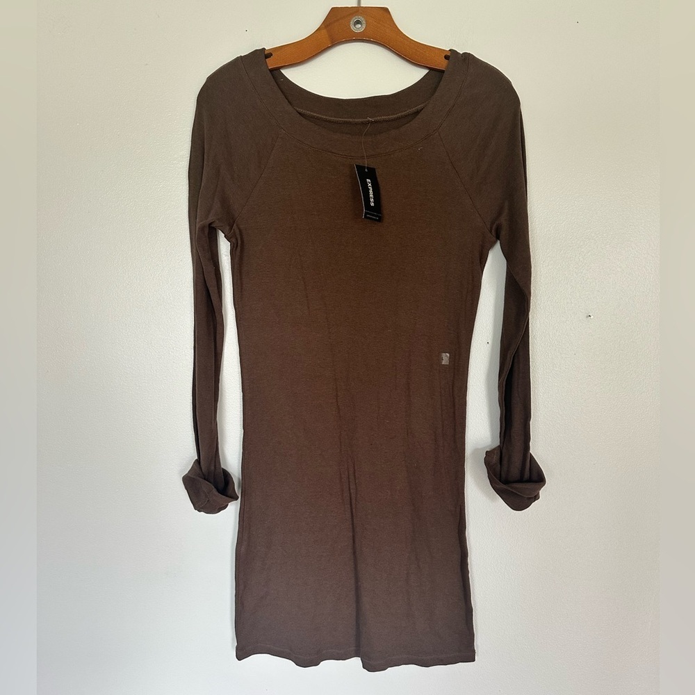 Express Fitted Body Dress